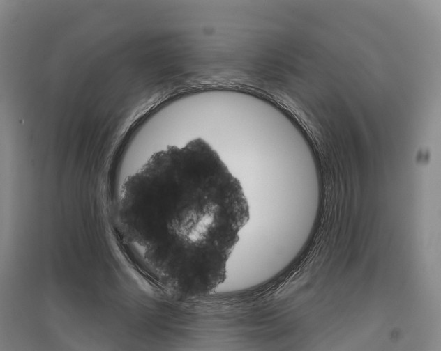 X0000097470634200802220830