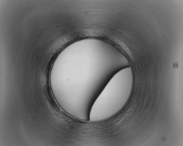 X0000097470635200802220830