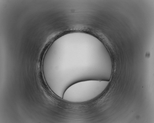 X0000097470636200802220830