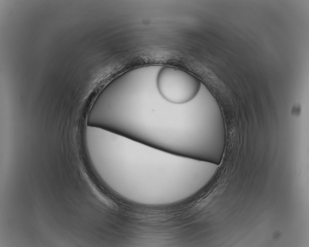X0000097470638200802220830