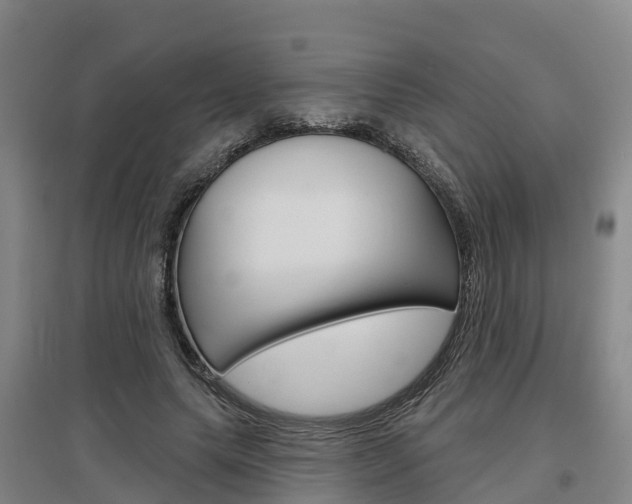 X0000097470639200802220830