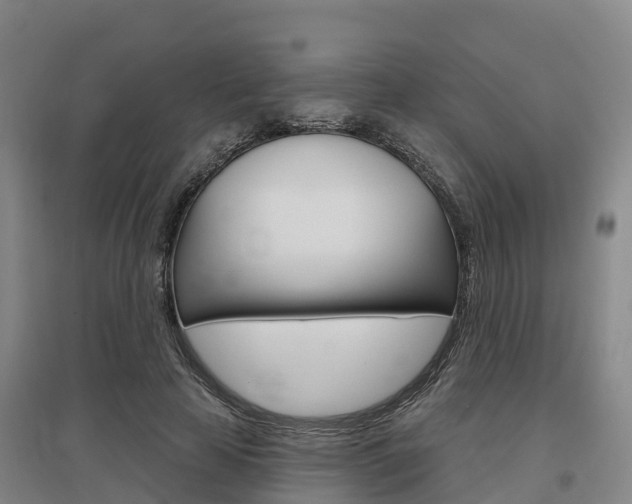 X0000097470641200802220830
