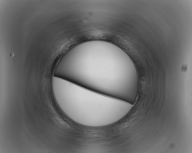 X0000097470642200802220830