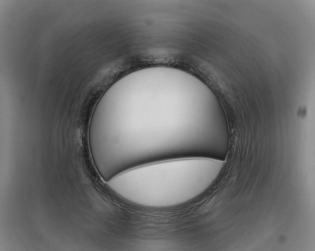 X0000097470643200802220830