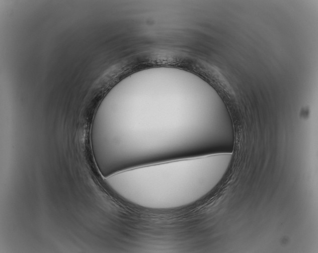 X0000097470645200802220830