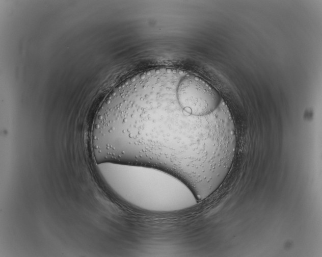 X0000097470646200802220830