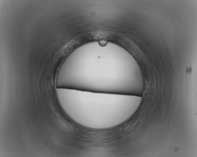 X0000097470648200802220830