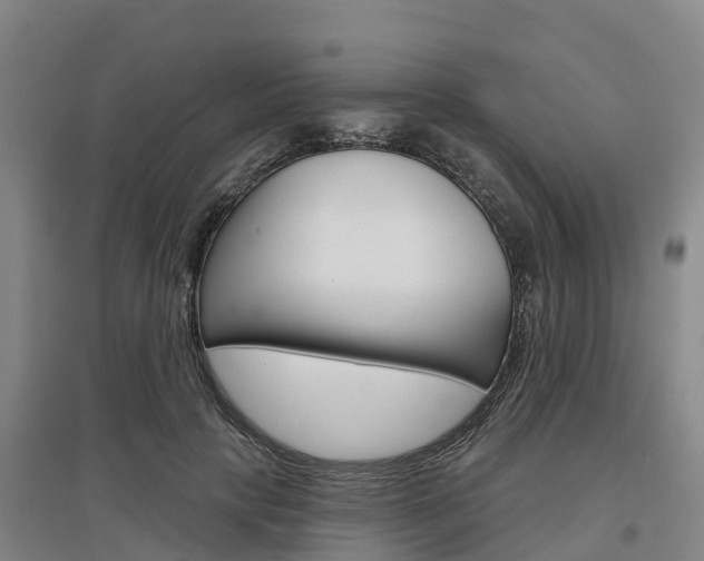 X0000097470649200802220830