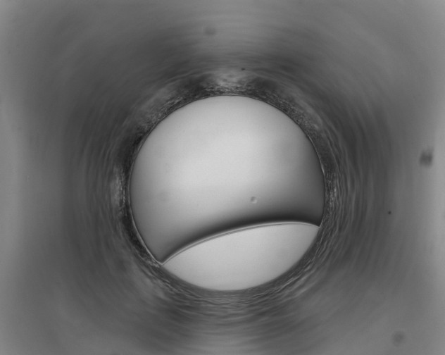 X0000097470651200802220830