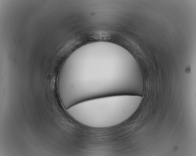 X0000097470652200802220830