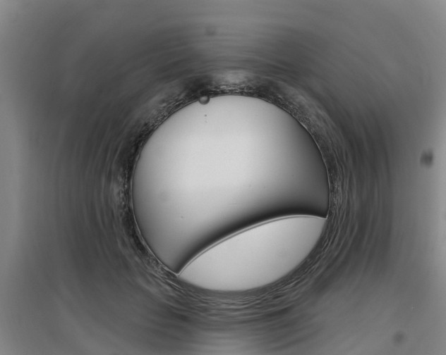 X0000097470653200802220830