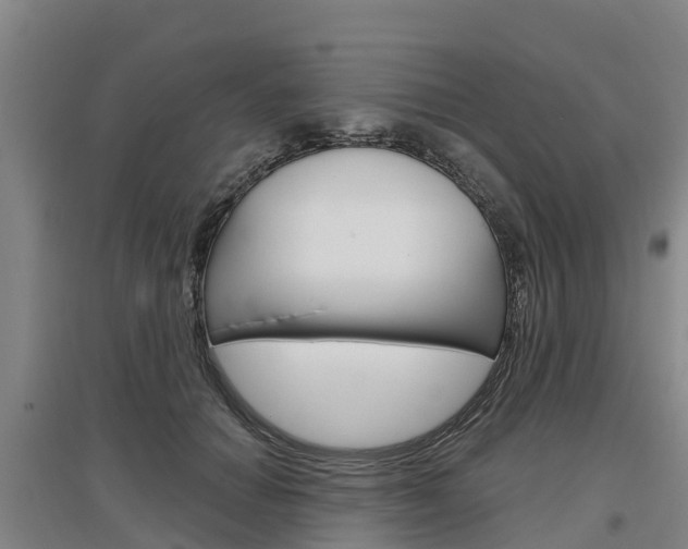 X0000097470654200802220830