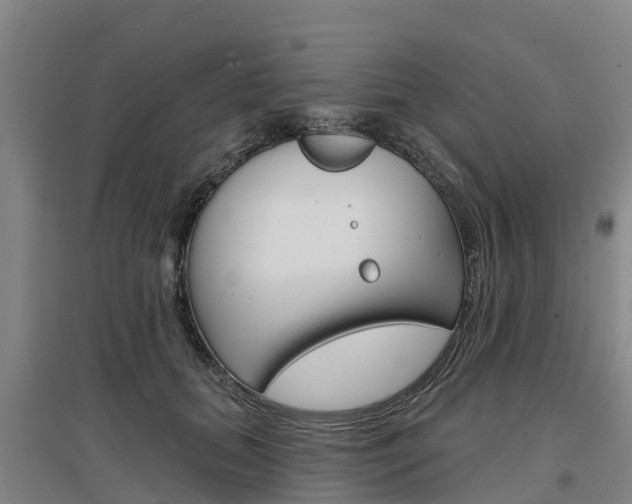 X0000097470655200802220830
