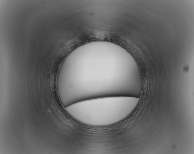 X0000097470656200802220830