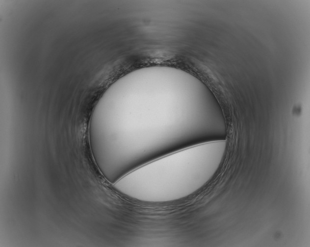 X0000097470657200802220830