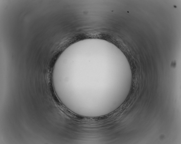 X0000097470658200802220830