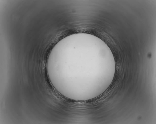 X0000097470660200802220830