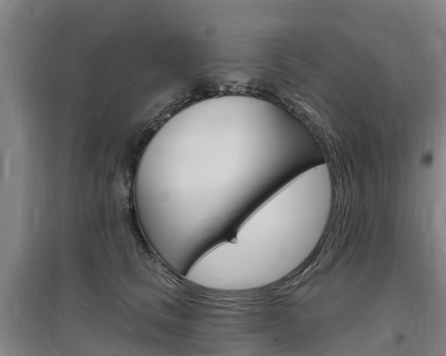X0000097470661200802220830