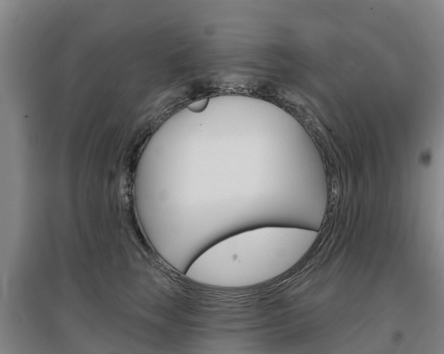 X0000097470663200802220830