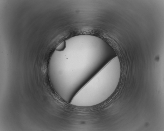 X0000097470665200802220830