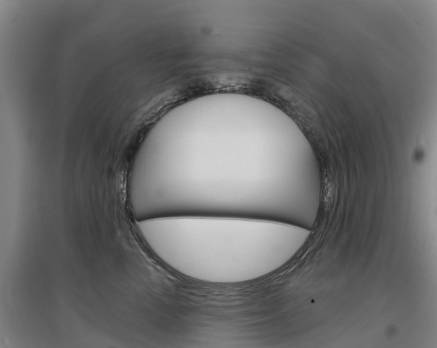 X0000097470666200802220830