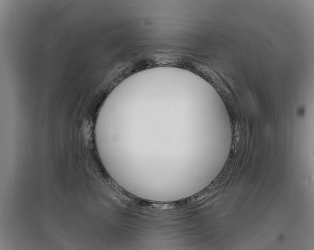 X0000097470667200802220830