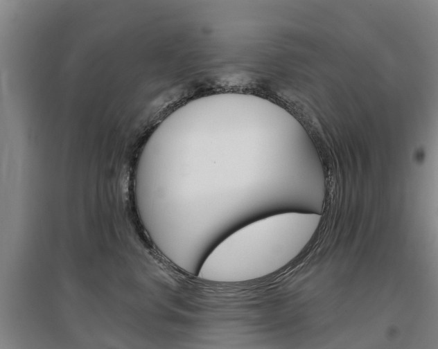 X0000097470668200802220830