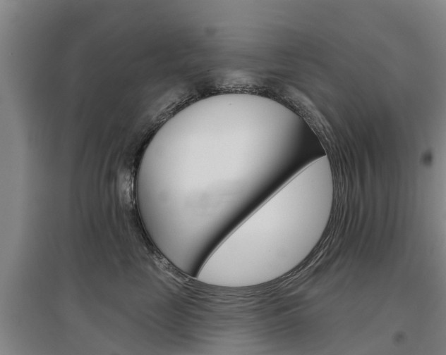 X0000097470669200802220830