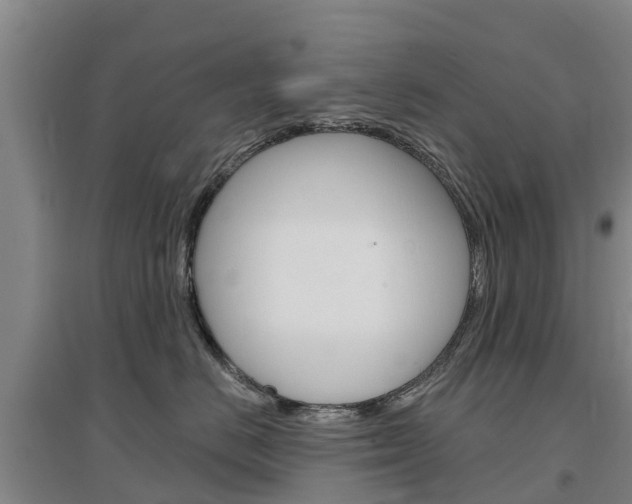 X0000097470670200802220830