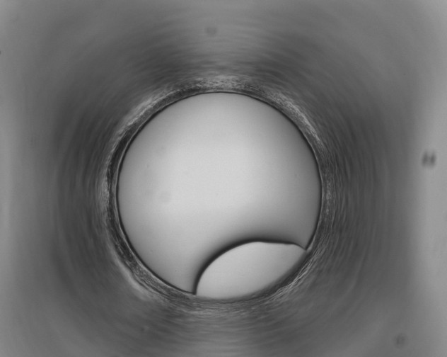 X0000097470674200802220830