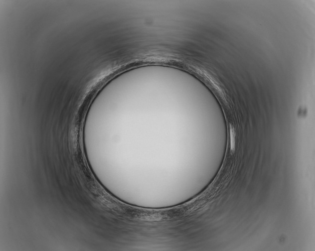 X0000097470675200802220830