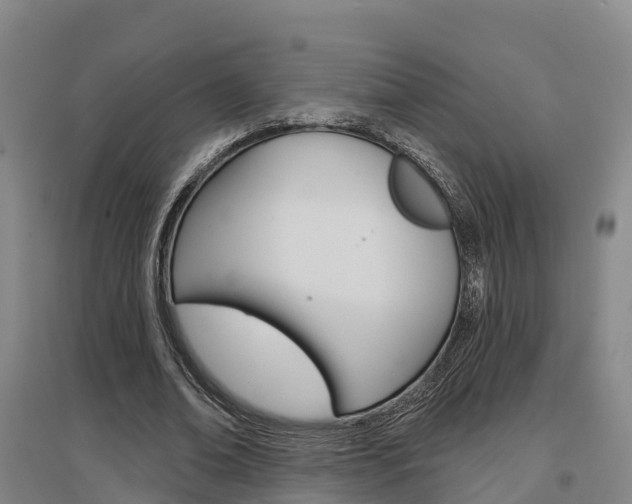 X0000097470678200802220829