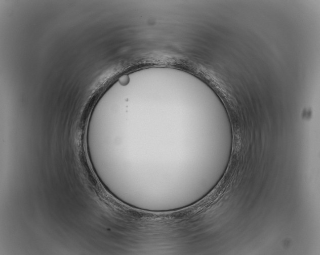 X0000097470679200802220829