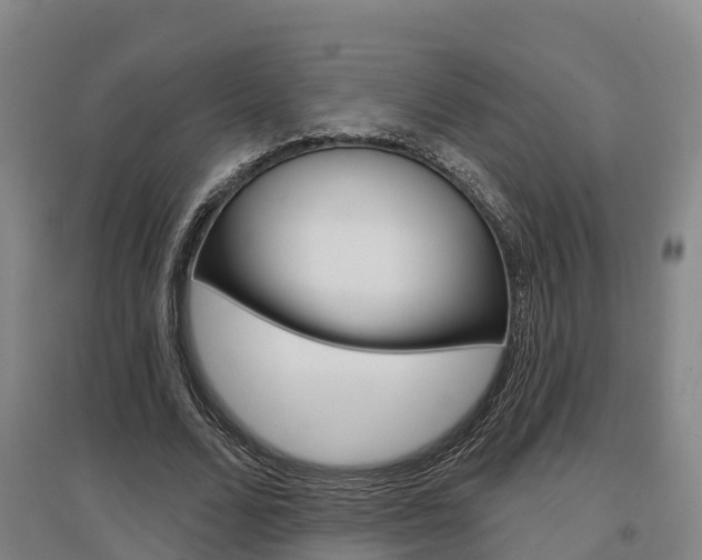 X0000097470680200802220829
