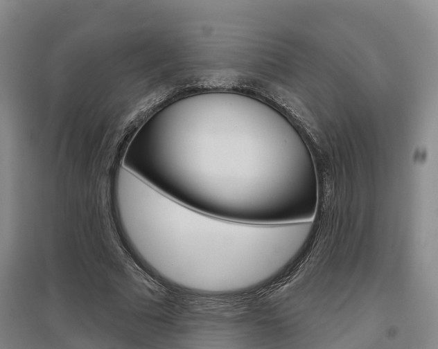 X0000097470681200802220829