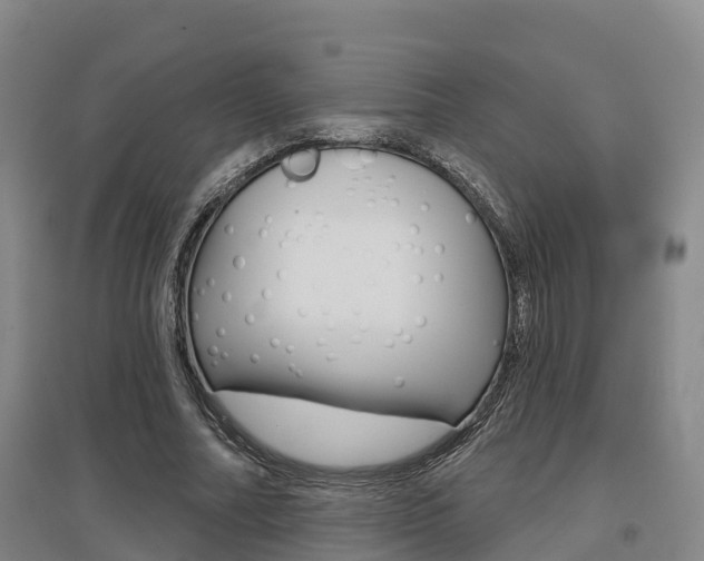 X0000097470682200802220829
