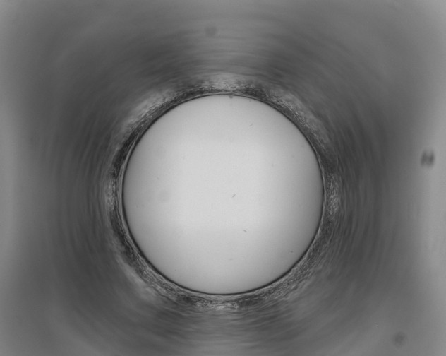 X0000097470683200802220829