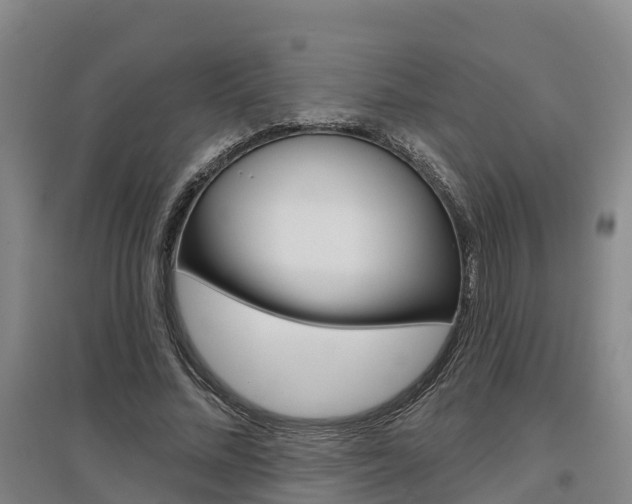X0000097470684200802220829