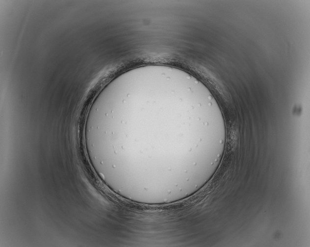 X0000097470686200802220829