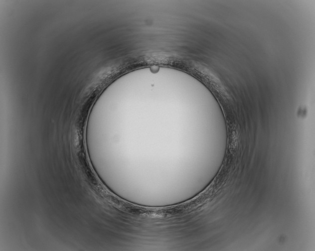 X0000097470687200802220829