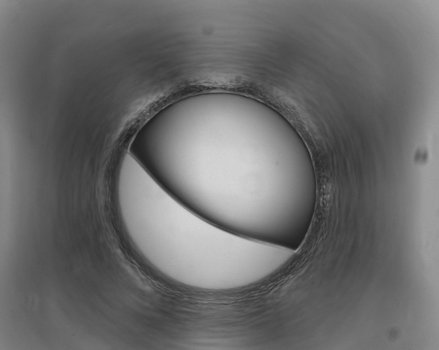 X0000097470688200802220829
