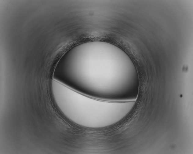 X0000097470689200802220829