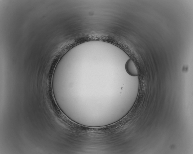 X0000097470690200802220829