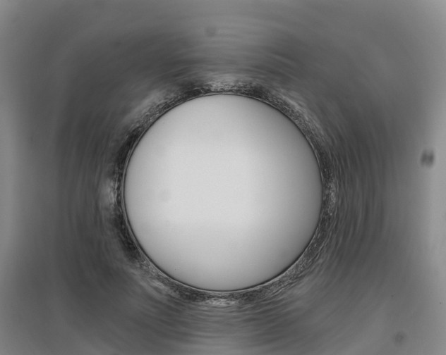 X0000097470691200802220829