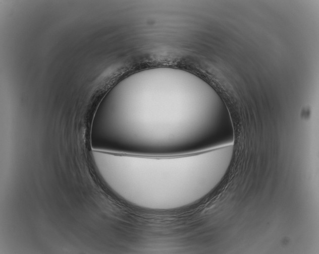 X0000097470693200802220829