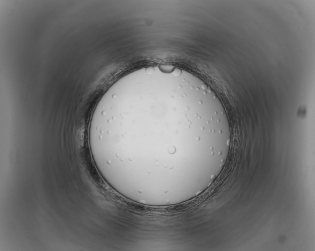 X0000097470694200802220829