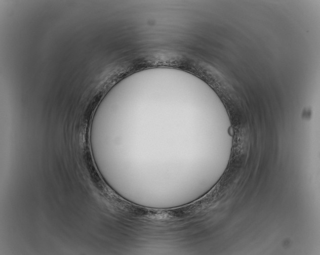 X0000097470695200802220829