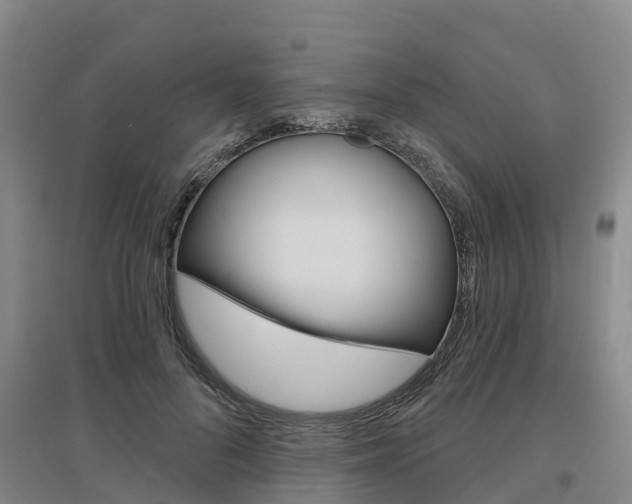 X0000097470696200802220829
