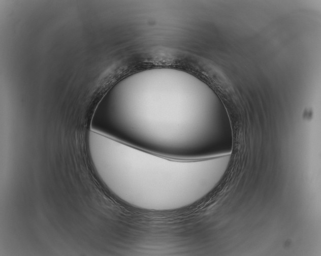 X0000097470697200802220829