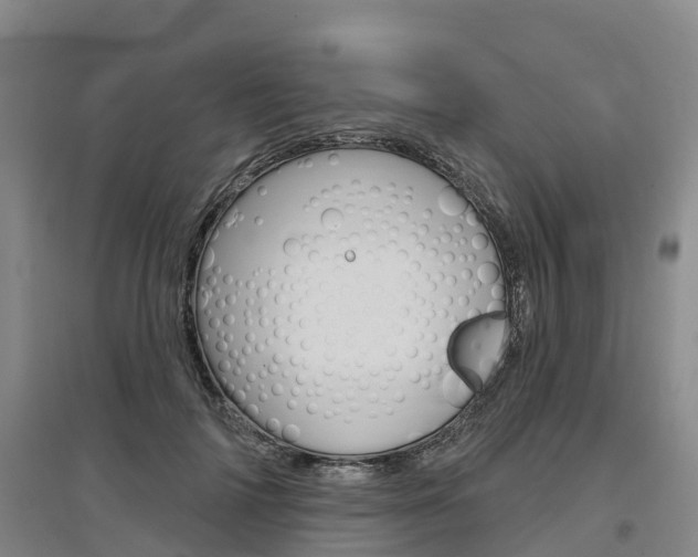 X0000097470698200802220829